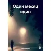 Постер книги Один месяц один