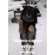 Постер книги Чёрно-серая зебра войны