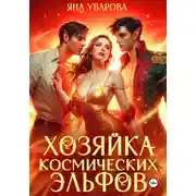 Постер книги Хозяйка космических эльфов
