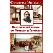 Постер книги Крестьянский вопрос во Франции и Германии»