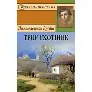 Постер книги Троє схотінок