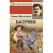 Постер книги Басурмен