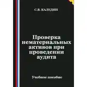 Постер книги Проверка нематериальных активов при проведении аудита