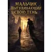 Постер книги Мальчик выгуливающий свою тень