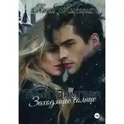 Постер книги Заходящее солнце