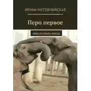 Постер книги Перо первое. Перо из крыла ангела