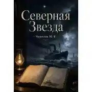 Постер книги Несколько мгновений одной жизни. Том 2. Северная Звезда