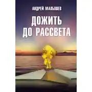 Постер книги Дожить до рассвета