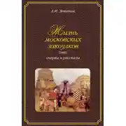 Постер книги Жизнь московских закоулков. Очерки и рассказы