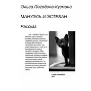 Постер книги Мануэль и Эстебан