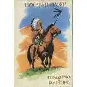 Постер книги Гамбусино