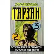 Постер книги Возвращение в джунгли