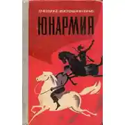 Постер книги Юнармия