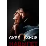 Постер книги Сквозное. Навылет