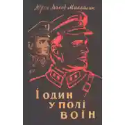 Постер книги І один у полі воїн