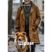 Постер книги Шрам