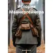 Постер книги История Маннергейнера