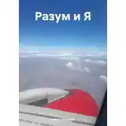 Постер книги Разум и Я