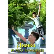 Постер книги Димка и его команда