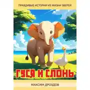 Постер книги Гуся и Слонь