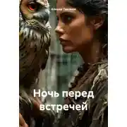 Постер книги Ночь перед встречей