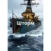 Постер книги Шторм