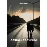 Постер книги Хозяин обочины