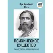 Постер книги Психическое Существо: Душа, её природа, миссия и эволюция