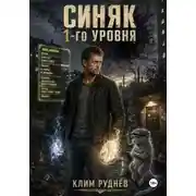 Постер книги Синяк 1-го уровня