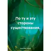 Постер книги По ту и эту стороны существования