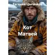 Постер книги Кот Матвей
