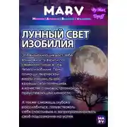 Постер книги Лунный Свет Изобилия