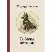 Постер книги Собачьи истории