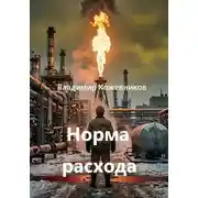 Постер книги Норма расхода