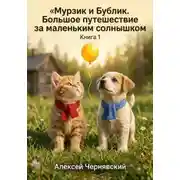 Постер книги Книга 1. «Мурзик и Бублик. Большое путешествие за маленьким солнышком»