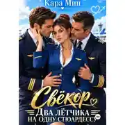 Постер книги Свёкор. Два лётчика на одну стюардессу