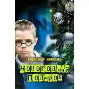 Постер книги Новогодний подарок