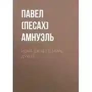 Постер книги Иона Шекет в мире духов
