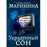 Постер книги Украденный сон