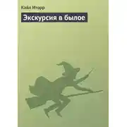 Постер книги Экскурсия в былое