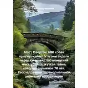 Постер книги Мост Овертон: 600 собак прыгнули вниз. Что они видели перед смертью? Шотландский мост-убийца: жуткая тайна, которую скрывают 70 лет. Расследование паранормальной аномалии в Шотландии