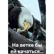 Постер книги На ветке бы ей качаться...