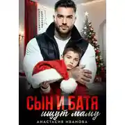 Постер книги Сын и батя ищут маму