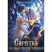 Постер книги Сиротка на факультете Злодеев