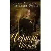 Постер книги Черный котел