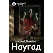 Постер книги Наугад