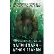 Постер книги Мапингуари – демон сельвы