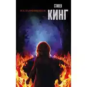 Постер книги Воспламеняющая