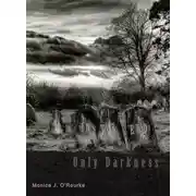 Постер книги И в конце, только тьма