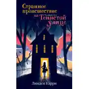 Постер книги Странное происшествие на Тенистой улице